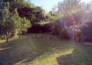 Giardino - Villa via Poggiolino, Figline e Incisa Valdarno - foto 3