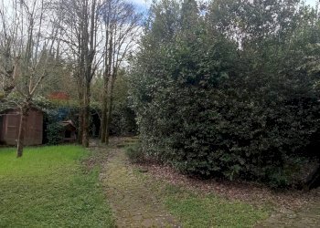 Giardino - Villa via Poggiolino, Figline e Incisa Valdarno - foto 32