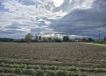 Vista dell\'acqua - Agricultural land Via Minonna, Jesi - photo 6