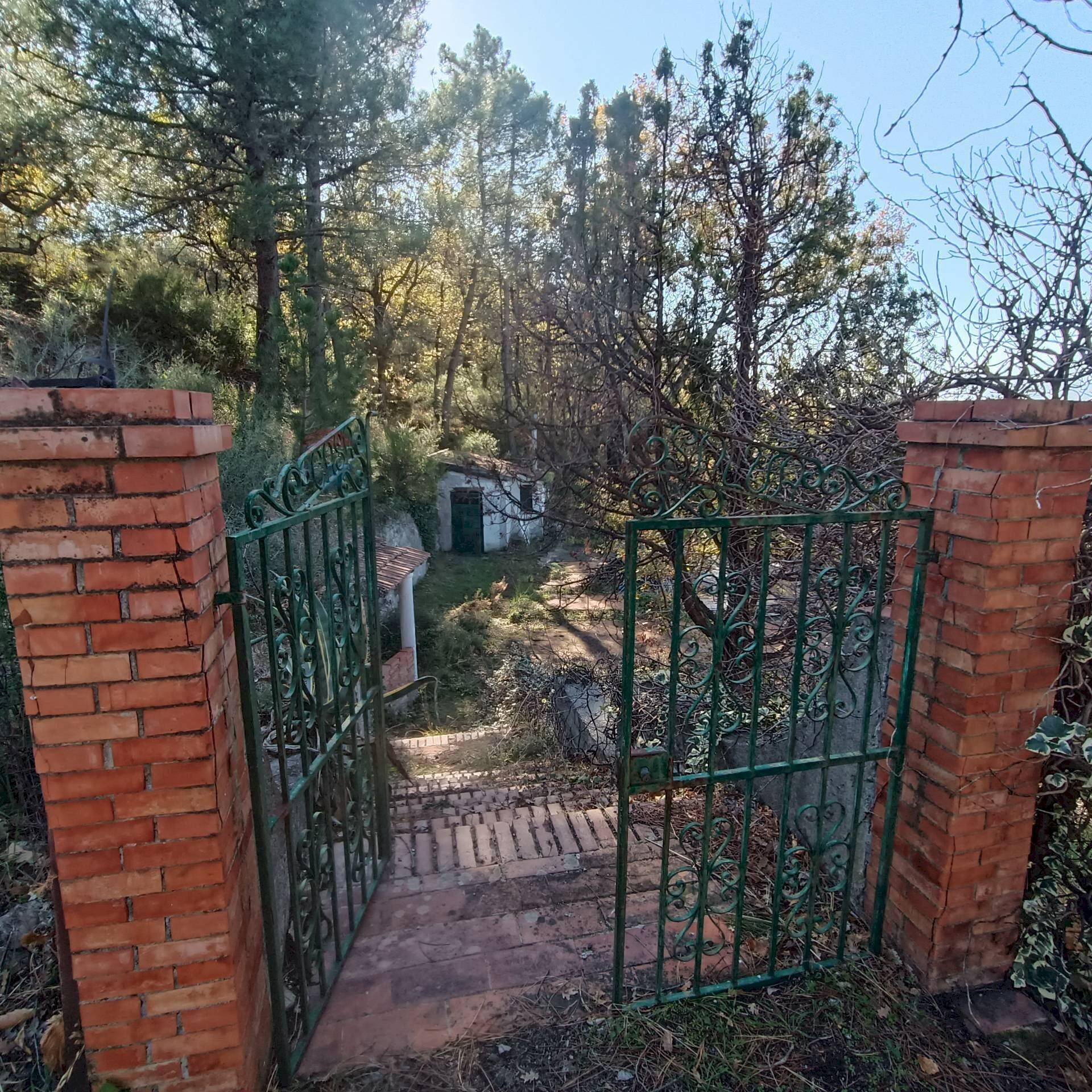 Giardino - Rustico Contrada tifani, Castelmola - foto 1