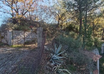 Giardino - Rustico Contrada tifani, Castelmola - foto 5