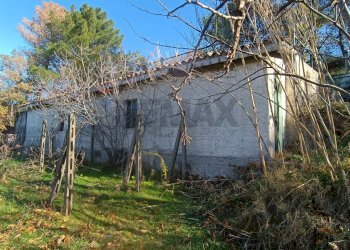 Giardino - Rustico Contrada tifani, Castelmola - foto 7