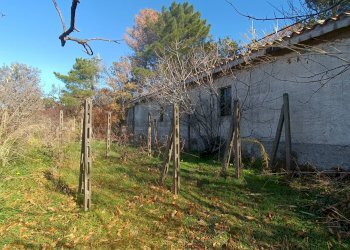 Giardino - Rustico Contrada tifani, Castelmola - foto 13