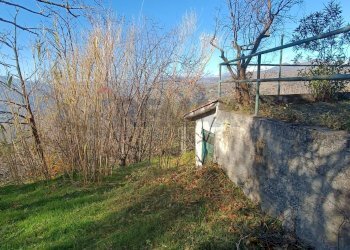 Giardino - Rustico Contrada tifani, Castelmola - foto 14