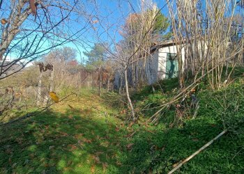 Giardino - Rustico Contrada tifani, Castelmola - foto 24