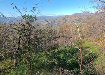 Vista delle montagne - Rustico Contrada tifani, Castelmola - foto 25