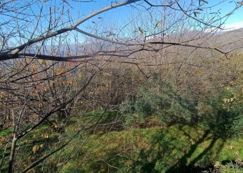 Vista delle montagne - Rustico Contrada tifani, Castelmola - foto 26