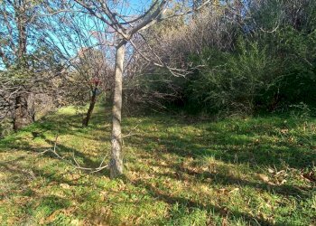 Giardino - Rustico Contrada tifani, Castelmola - foto 31