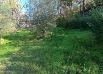 Giardino - Rustico Contrada tifani, Castelmola - foto 32