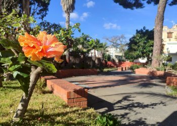 Giardino - Trilocale Via Recanati
 
11, Giardini-Naxos - foto 46