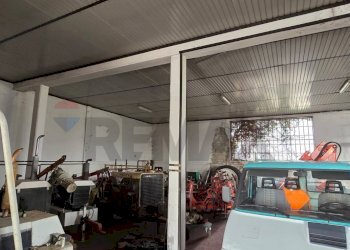 Palestra - Capannone Via Eridania
53, Occhiobello - foto 9