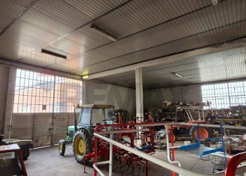 Dispensa di stoccaggio - Capannone Via Eridania
53, Occhiobello - foto 17