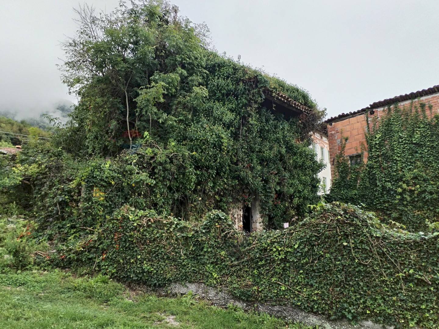 Giardino - Casa semi indipendente Via Lasen
 
Snc, Feltre - foto 3