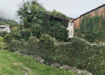 Giardino - Casa semi indipendente Via Lasen
 
Snc, Feltre - foto 7