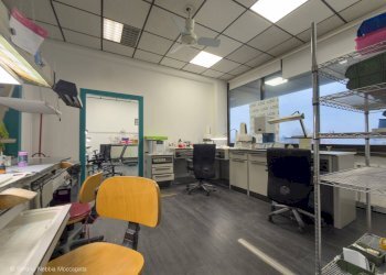 Foto 11 - Ufficio corso de Gasperi
 
161, Rivoli - foto 11