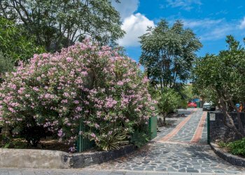 Foto 27 - Appartamento Via Progresso
 
4, Leni - foto 27