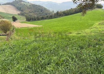 Vista delle montagne - Independent house Via Morsa
 
88, Salsomaggiore Terme - photo 15