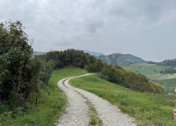 Vista delle montagne - Independent house Via Morsa
 
88, Salsomaggiore Terme - photo 19