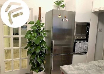 cucina - Villa viale roma, Massa - foto 8