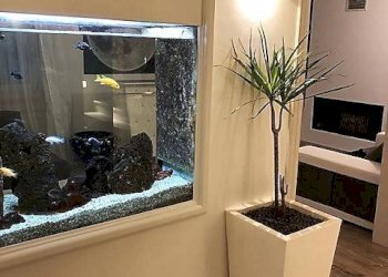 acquario - Villa viale roma, Massa - foto 24