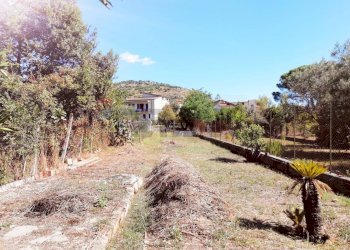 Giardino - Casa indipendente Santi Cosma e Damiano - foto 5