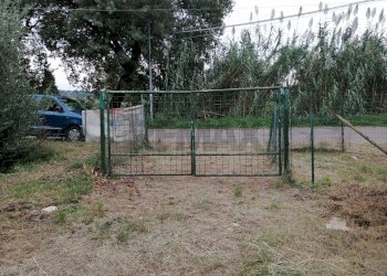 Giardino - Casa indipendente via delle terme
 
125, Castelforte - foto 3