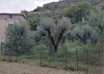 Non correlato - Casa indipendente via delle terme
 
125, Castelforte - foto 4