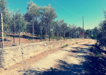 Giardino - Villa via  Gracanica
 
snc, Formia - foto 19