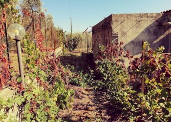 Vista delle montagne - Villa via  Gracanica
 
snc, Formia - foto 31