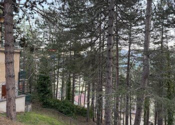 Giardino - Villa Rivisondoli - foto 28