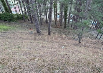 Giardino - Villa Rivisondoli - foto 30