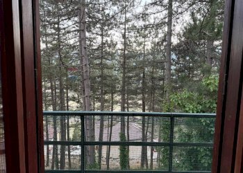 Dettagli - Villa Rivisondoli - foto 33