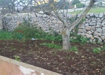 Giardino - Villa Contrada Magazzinazzi Poggio del Sole
 
s.n., Ragusa - foto 6