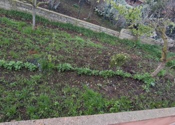 Giardino - Villa Contrada Magazzinazzi Poggio del Sole
 
s.n., Ragusa - foto 38