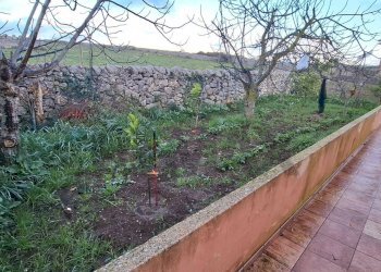 Giardino - Villa Contrada Magazzinazzi Poggio del Sole
 
s.n., Ragusa - foto 36