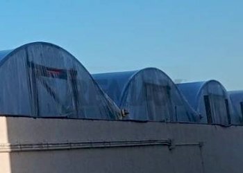 Edificio all\'aperto - Terreno agricolo c.da pellegrino, Santa Croce Camerina - foto 2