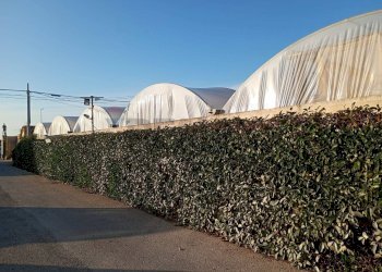 Edificio all\'aperto - Terreno agricolo c.da pellegrino, Santa Croce Camerina - foto 7