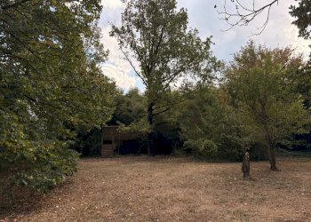 Foto 9 - Villa Via Graziosi
 
1234/a, San Cesario sul Panaro - foto 9