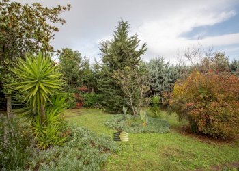 Foto 37 - Appartamento VIA ABETONE
 
2, Montesilvano - foto 37