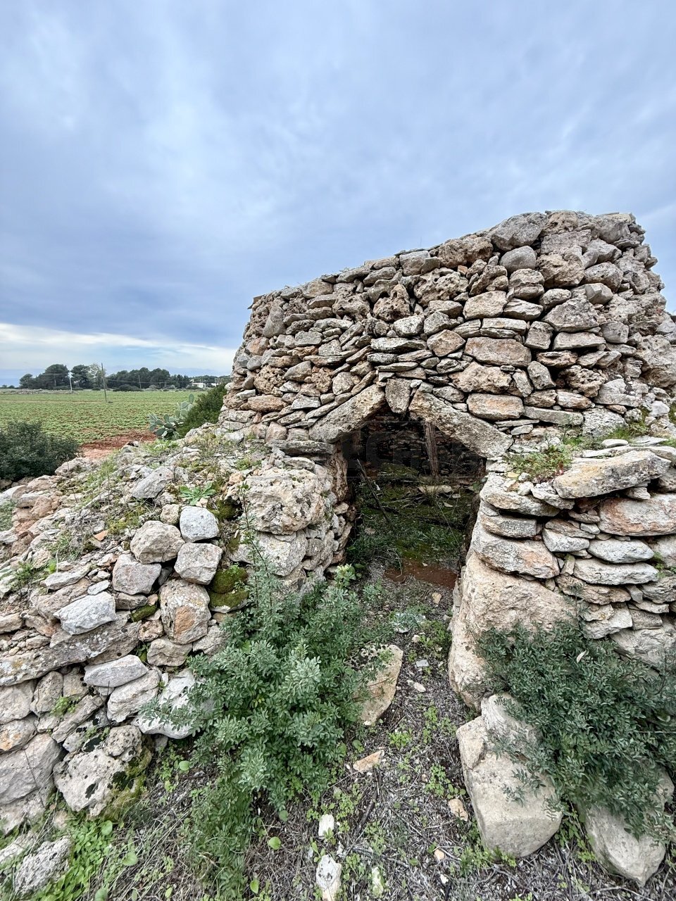 IMG_2745.jpg - Villa SP286 102, Nardò - photo 1