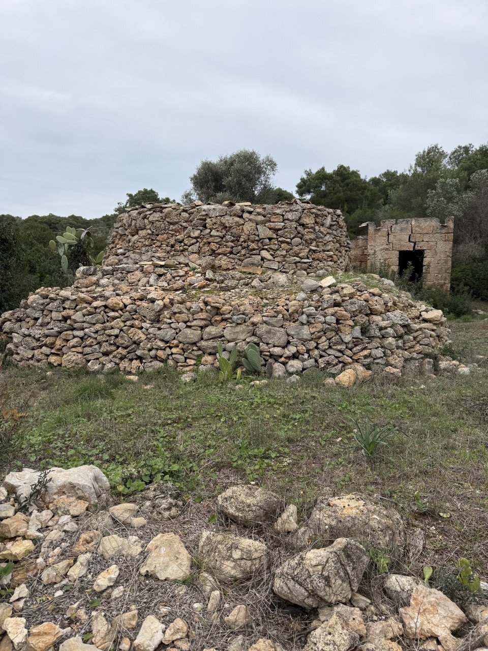 IMG_2741.jpg - Villa SP286 102, Nardò - photo 2