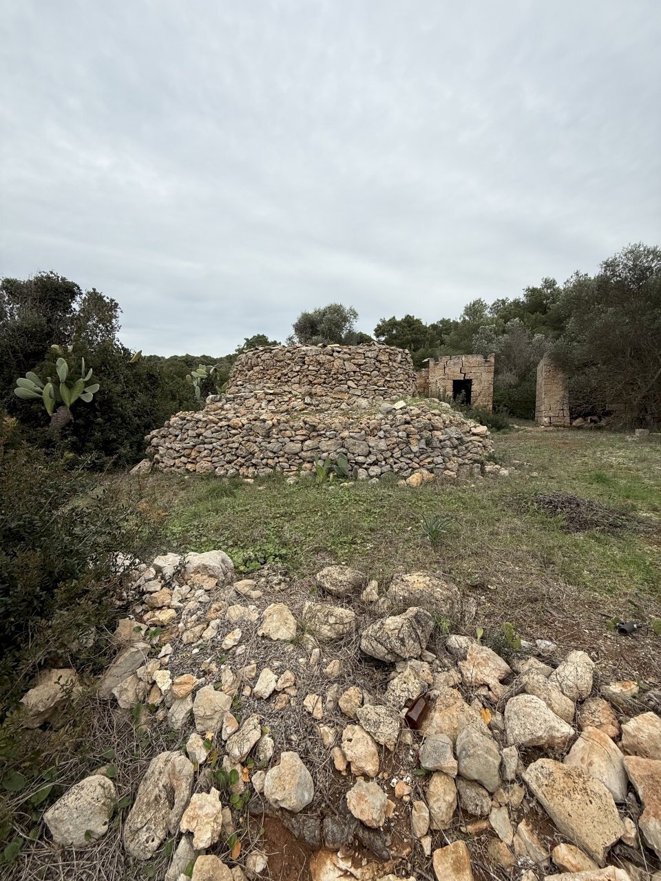 IMG_2742.jpg - Villa SP286 102, Nardò - photo 3