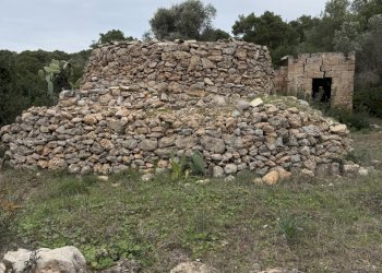 IMG_2741.jpg - Villa SP286 102, Nardò - foto 2