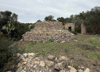 IMG_2742.jpg - Villa SP286 102, Nardò - foto 3