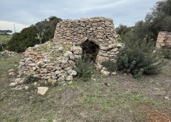 IMG_2744.jpg - Villa SP286 102, Nardò - foto 5