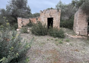 IMG_2746.jpg - Villa SP286 102, Nardò - foto 6