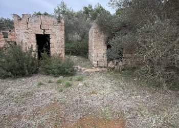 IMG_2747.jpg - Villa SP286 102, Nardò - foto 7