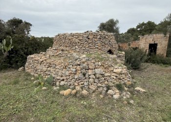 IMG_2751.jpg - Villa SP286 102, Nardò - foto 11