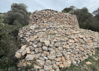 IMG_2753.jpg - Villa SP286 102, Nardò - foto 13