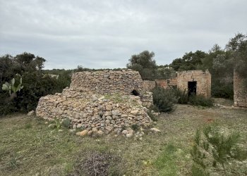 IMG_2754.jpg - Villa SP286 102, Nardò - foto 14